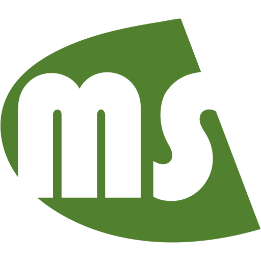 megaseller-pos-landing.pages.dev favicon